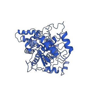 10513_6tjv_P_v1-0
Structure of the NDH-1MS complex from Thermosynechococcus elongatus