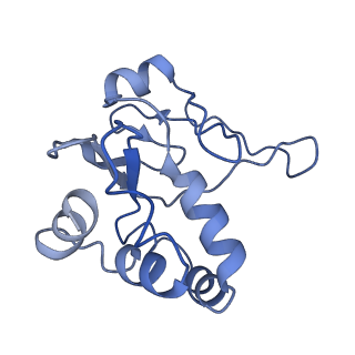 10513_6tjv_Q_v1-0
Structure of the NDH-1MS complex from Thermosynechococcus elongatus