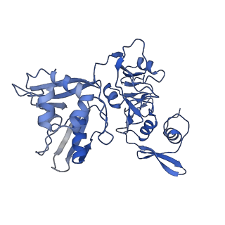 25915_7tj2_B_v1-1
SARS-CoV-2 endoribonuclease Nsp15 bound to dsRNA