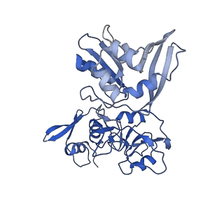 25915_7tj2_C_v1-1
SARS-CoV-2 endoribonuclease Nsp15 bound to dsRNA