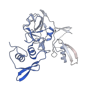 25915_7tj2_D_v1-1
SARS-CoV-2 endoribonuclease Nsp15 bound to dsRNA