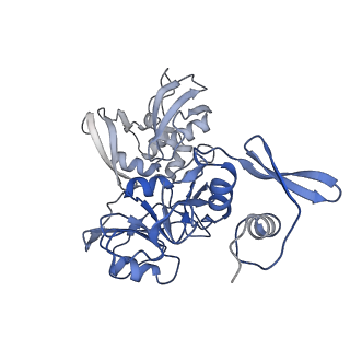 25915_7tj2_E_v1-1
SARS-CoV-2 endoribonuclease Nsp15 bound to dsRNA