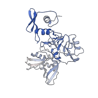 25915_7tj2_F_v1-1
SARS-CoV-2 endoribonuclease Nsp15 bound to dsRNA