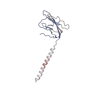 25919_7tj8_B_v1-0
Cryo-EM structure of the human Nax channel in complex with beta3 solved in nanodiscs