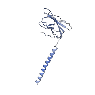 25920_7tj9_B_v1-0
Cryo-EM structure of the human Nax channel in complex with beta3 solved in GDN