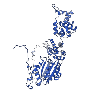 25924_7tjf_A_v1-1
S. cerevisiae ORC bound to 84 bp ARS1 DNA