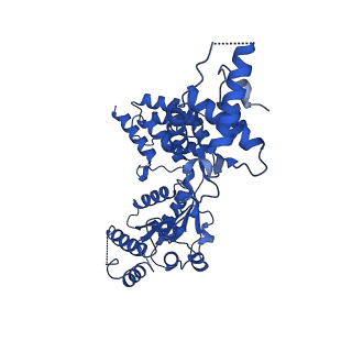 25924_7tjf_D_v1-1
S. cerevisiae ORC bound to 84 bp ARS1 DNA