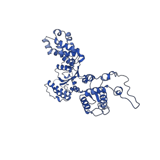 25924_7tjf_E_v1-1
S. cerevisiae ORC bound to 84 bp ARS1 DNA
