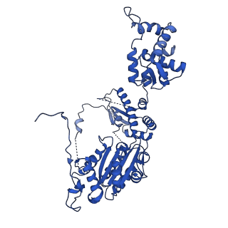 25925_7tjh_A_v1-0
S. cerevisiae ORC bound to 84 bp ARS1 DNA and Cdc6 (state 1) with flexible Orc6 N-terminal domain