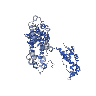 25925_7tjh_C_v1-0
S. cerevisiae ORC bound to 84 bp ARS1 DNA and Cdc6 (state 1) with flexible Orc6 N-terminal domain