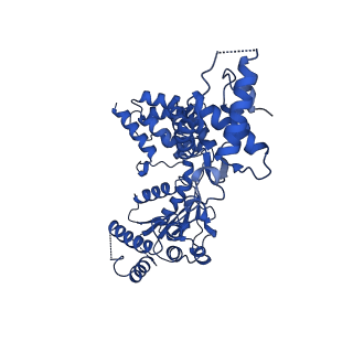 25925_7tjh_D_v1-0
S. cerevisiae ORC bound to 84 bp ARS1 DNA and Cdc6 (state 1) with flexible Orc6 N-terminal domain