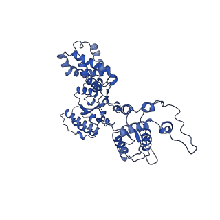 25925_7tjh_E_v1-0
S. cerevisiae ORC bound to 84 bp ARS1 DNA and Cdc6 (state 1) with flexible Orc6 N-terminal domain