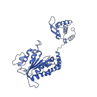 25925_7tjh_I_v1-0
S. cerevisiae ORC bound to 84 bp ARS1 DNA and Cdc6 (state 1) with flexible Orc6 N-terminal domain