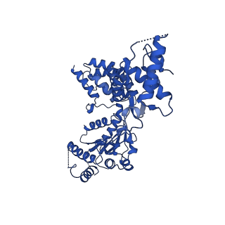 25926_7tji_D_v1-0
S. cerevisiae ORC bound to 84 bp ARS1 DNA and Cdc6 (state 2) with flexible Orc6 N-terminal domain