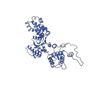25926_7tji_E_v1-0
S. cerevisiae ORC bound to 84 bp ARS1 DNA and Cdc6 (state 2) with flexible Orc6 N-terminal domain