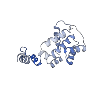 25926_7tji_F_v1-0
S. cerevisiae ORC bound to 84 bp ARS1 DNA and Cdc6 (state 2) with flexible Orc6 N-terminal domain