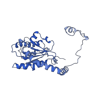 25928_7tjk_B_v1-0
S. cerevisiae ORC bound to 84 bp ARS1 DNA and Cdc6 (state 2) with docked Orc6 N-terminal domain