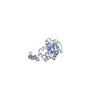 25928_7tjk_F_v1-0
S. cerevisiae ORC bound to 84 bp ARS1 DNA and Cdc6 (state 2) with docked Orc6 N-terminal domain