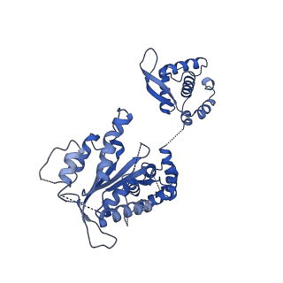 25928_7tjk_I_v1-0
S. cerevisiae ORC bound to 84 bp ARS1 DNA and Cdc6 (state 2) with docked Orc6 N-terminal domain