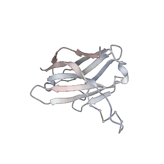 25929_7tjq_A_v1-1
SAN27-14 bound to a antigenic site V on prefusion-stabilized hMPV F