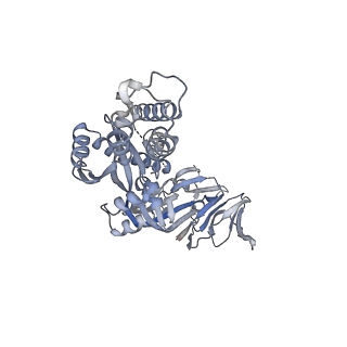 25929_7tjq_C_v1-1
SAN27-14 bound to a antigenic site V on prefusion-stabilized hMPV F