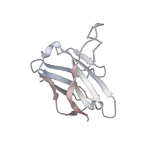 25929_7tjq_D_v1-1
SAN27-14 bound to a antigenic site V on prefusion-stabilized hMPV F