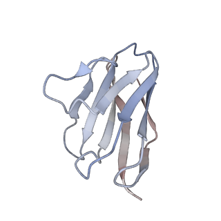 25929_7tjq_E_v1-1
SAN27-14 bound to a antigenic site V on prefusion-stabilized hMPV F