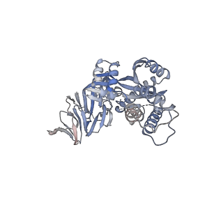 25929_7tjq_F_v1-1
SAN27-14 bound to a antigenic site V on prefusion-stabilized hMPV F