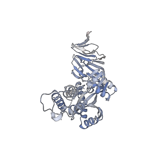 25929_7tjq_G_v1-1
SAN27-14 bound to a antigenic site V on prefusion-stabilized hMPV F