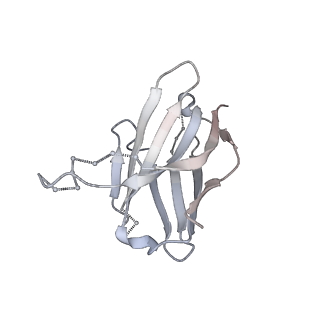 25929_7tjq_H_v1-1
SAN27-14 bound to a antigenic site V on prefusion-stabilized hMPV F