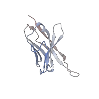 25929_7tjq_I_v1-1
SAN27-14 bound to a antigenic site V on prefusion-stabilized hMPV F