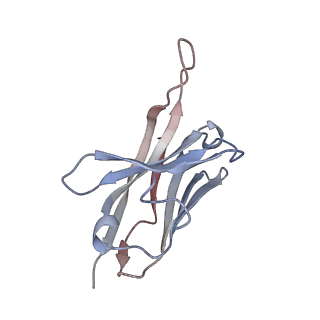 25929_7tjq_J_v1-1
SAN27-14 bound to a antigenic site V on prefusion-stabilized hMPV F