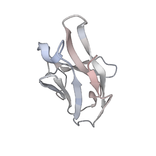 25929_7tjq_O_v1-1
SAN27-14 bound to a antigenic site V on prefusion-stabilized hMPV F