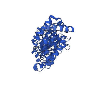 25930_7tjs_A_v1-1
Yeast ATP synthase F1 region State 1-3catalytic beta_tight closed without exogenous ATP
