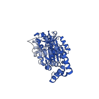 25930_7tjs_B_v1-1
Yeast ATP synthase F1 region State 1-3catalytic beta_tight closed without exogenous ATP