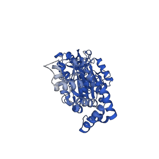 25930_7tjs_B_v1-2
Yeast ATP synthase F1 region State 1-3catalytic beta_tight closed without exogenous ATP