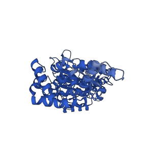 25930_7tjs_C_v1-1
Yeast ATP synthase F1 region State 1-3catalytic beta_tight closed without exogenous ATP