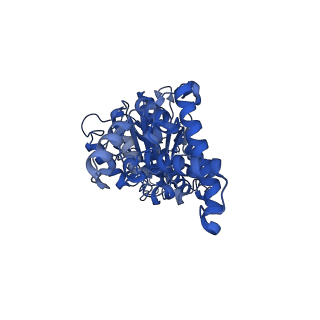 25930_7tjs_D_v1-1
Yeast ATP synthase F1 region State 1-3catalytic beta_tight closed without exogenous ATP