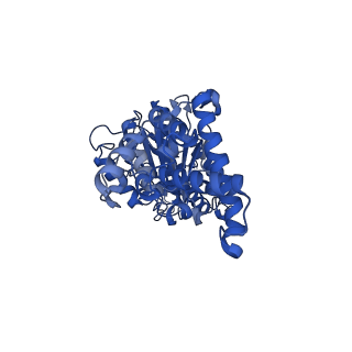 25930_7tjs_D_v1-2
Yeast ATP synthase F1 region State 1-3catalytic beta_tight closed without exogenous ATP