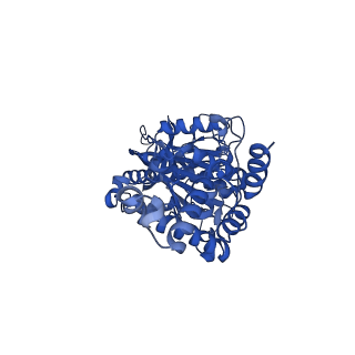25930_7tjs_E_v1-1
Yeast ATP synthase F1 region State 1-3catalytic beta_tight closed without exogenous ATP