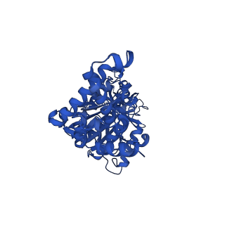 25930_7tjs_F_v1-1
Yeast ATP synthase F1 region State 1-3catalytic beta_tight closed without exogenous ATP
