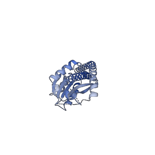 25930_7tjs_G_v1-1
Yeast ATP synthase F1 region State 1-3catalytic beta_tight closed without exogenous ATP