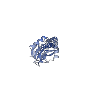 25930_7tjs_G_v1-2
Yeast ATP synthase F1 region State 1-3catalytic beta_tight closed without exogenous ATP