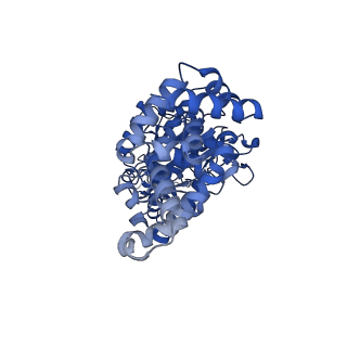 25931_7tjt_A_v1-1
Yeast ATP synthase F1 region State 1-3catalytic beta_tight open without exogenous ATP