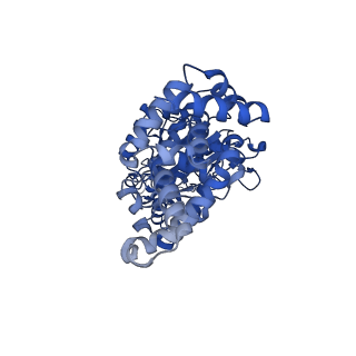 25931_7tjt_A_v1-2
Yeast ATP synthase F1 region State 1-3catalytic beta_tight open without exogenous ATP