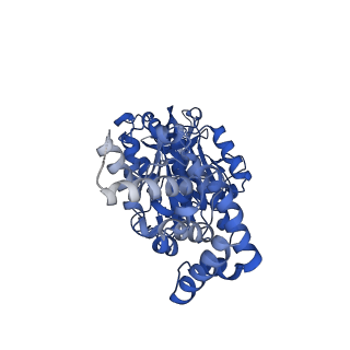 25931_7tjt_B_v1-1
Yeast ATP synthase F1 region State 1-3catalytic beta_tight open without exogenous ATP