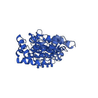 25931_7tjt_C_v1-1
Yeast ATP synthase F1 region State 1-3catalytic beta_tight open without exogenous ATP