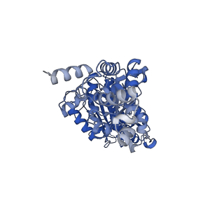 25931_7tjt_D_v1-1
Yeast ATP synthase F1 region State 1-3catalytic beta_tight open without exogenous ATP