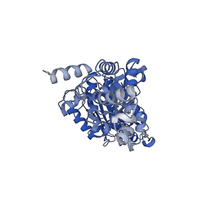 25931_7tjt_D_v1-2
Yeast ATP synthase F1 region State 1-3catalytic beta_tight open without exogenous ATP