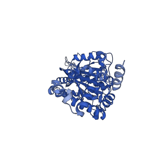 25931_7tjt_E_v1-1
Yeast ATP synthase F1 region State 1-3catalytic beta_tight open without exogenous ATP